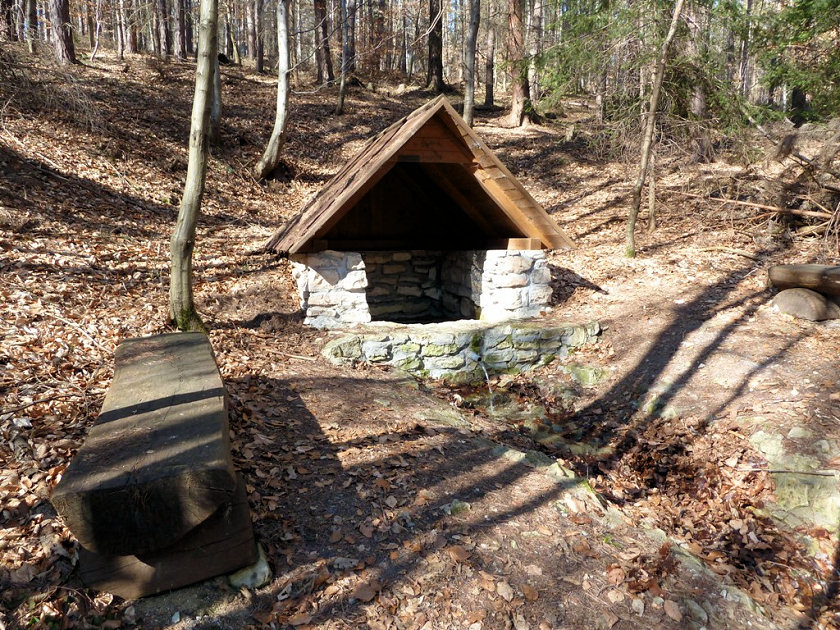 studánka U Jindřicha (5514) - březen 2012