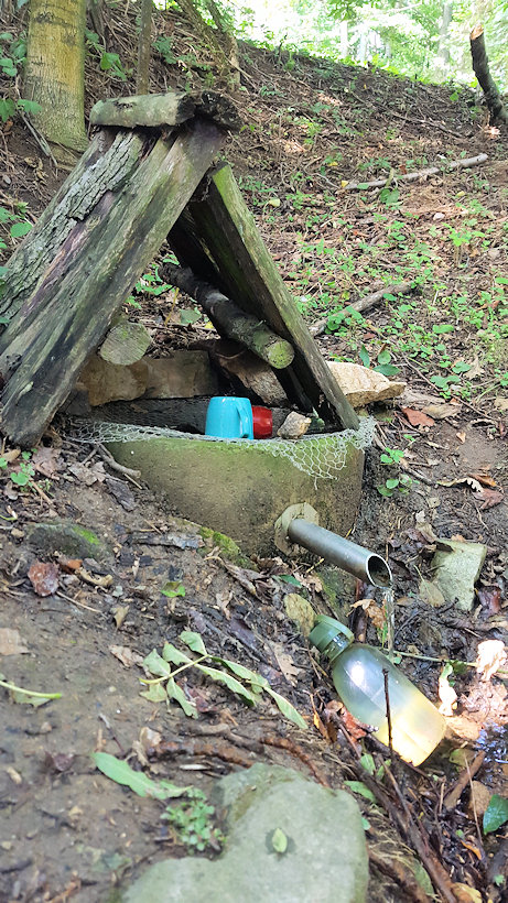 studánka V Lavce (5517) - září 2019