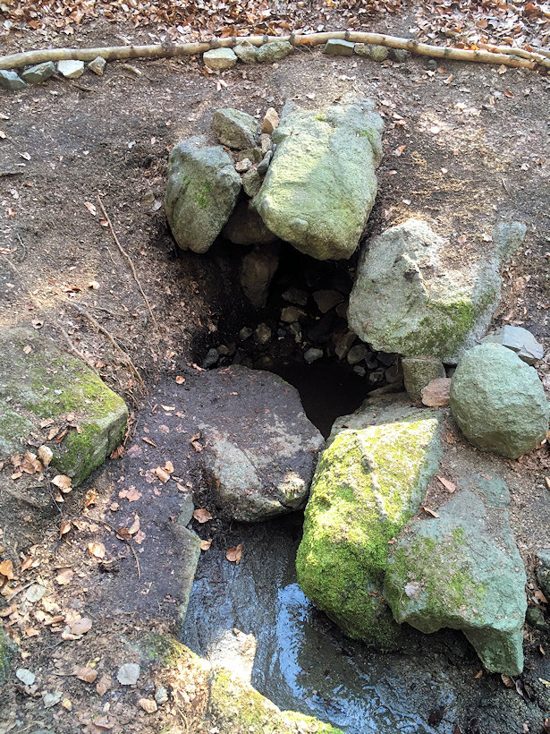studánka bez jména (5526) - duben 2020