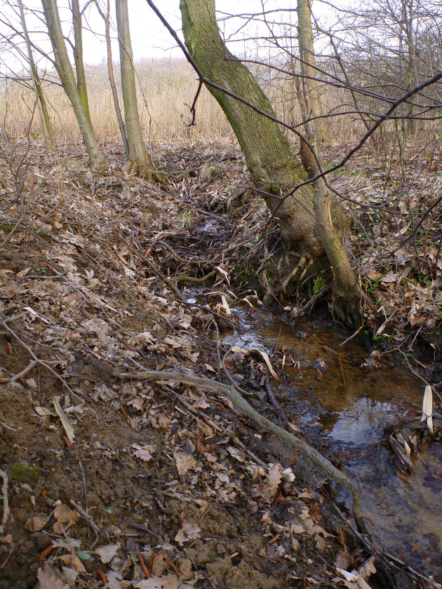 pramen Pod hřištěm 1 (5527) - březen 2012