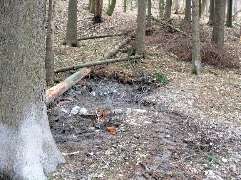 prameniště bez jména (5533) - duben 2012