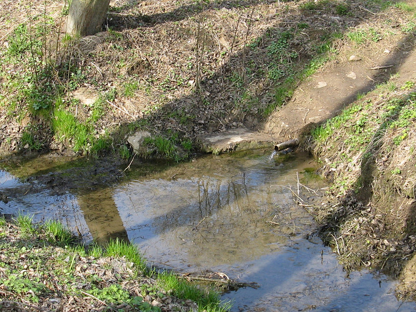 studánka bez jména (5537) - duben 2012