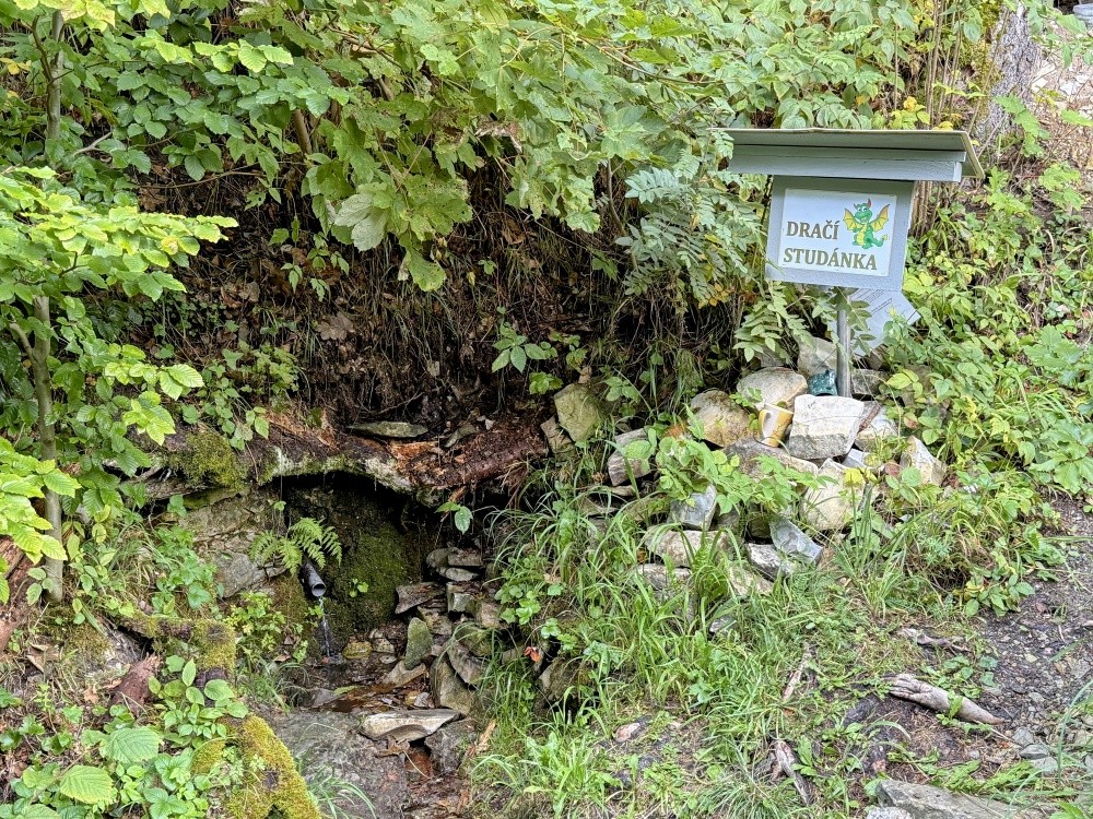 Dračí studánka  (5587) - srpen 2025