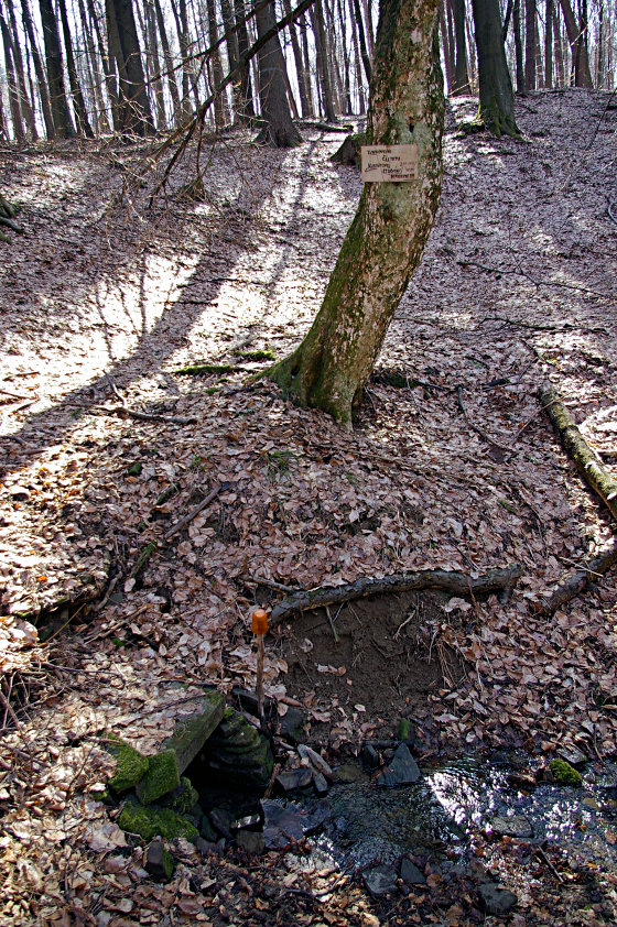 studánka Kubincova (5588) - duben 2012