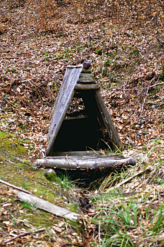 studánka Tatarka (5589) - duben 2012