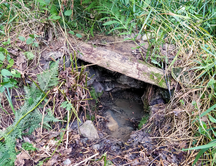studánka bez jména (5603) - srpen 2022