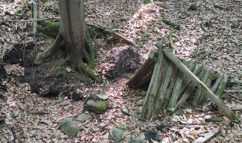 studánka Čertova (5613) - červen 2022