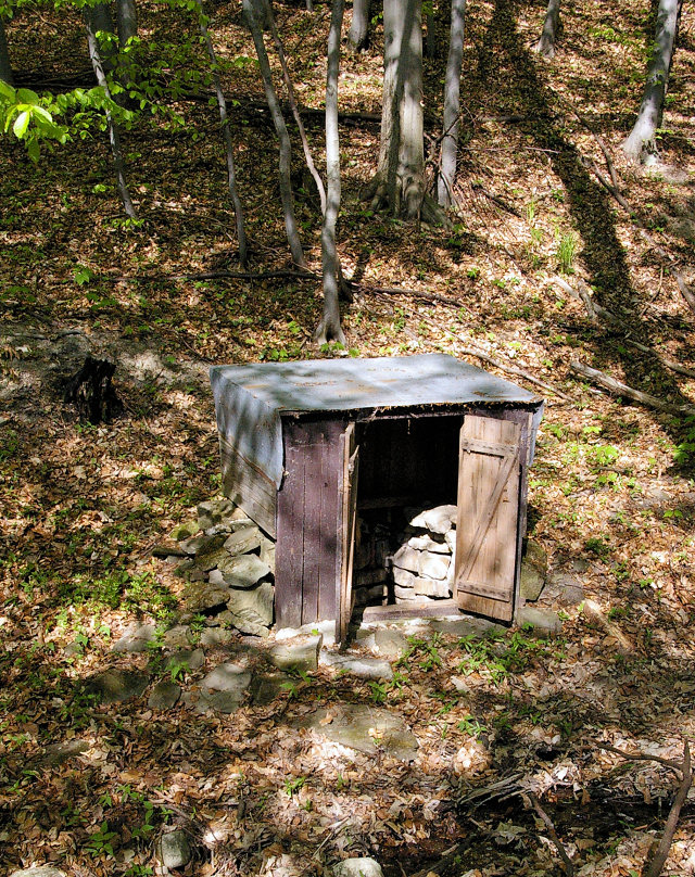 studánka Tomanova (5615) - květen 2012