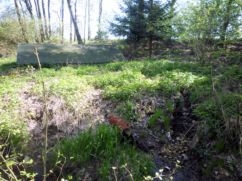 studánka V polích (5628) - květen 2012