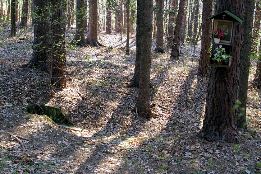 studánka bez jména (5632) - květen 2012