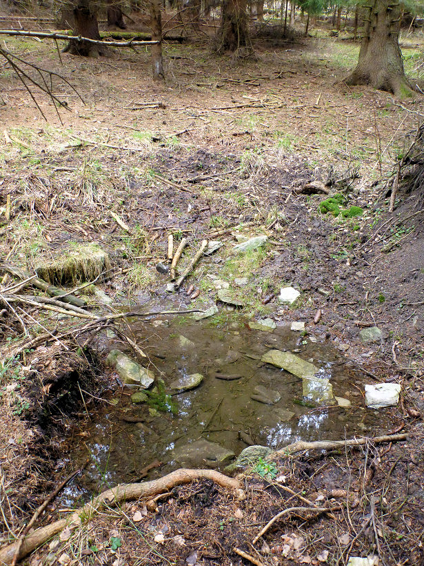 pramen Za letištěm 3 (5636) - květen 2012
