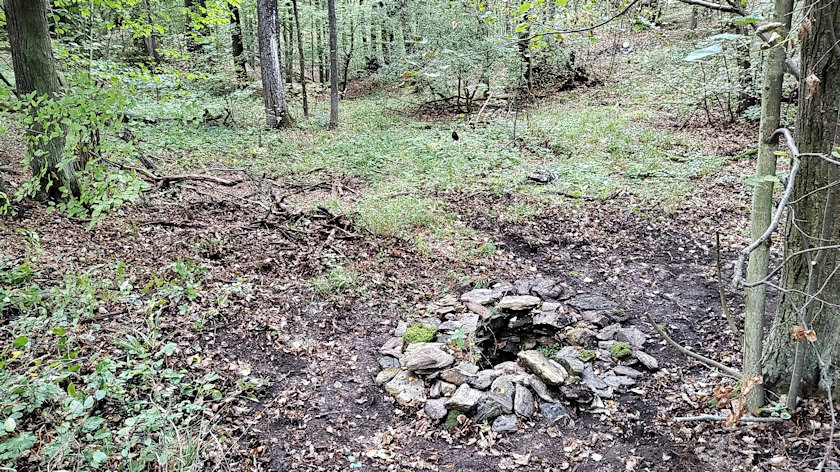 studánka bez jména (5659) - září 2022