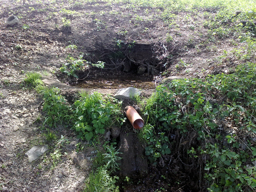 Polní studánka (5661) - květen 2012