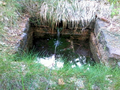 studánka Náhodná (5663) - květen 2012