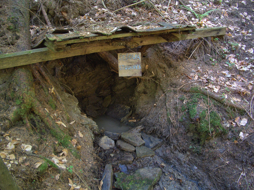 Šeďova studánka (5670) - květen 2012