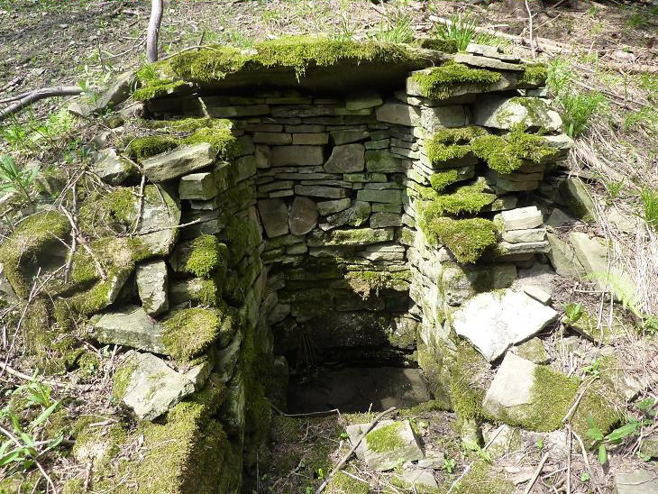 studánka Kubičula (5676) - květen 2012