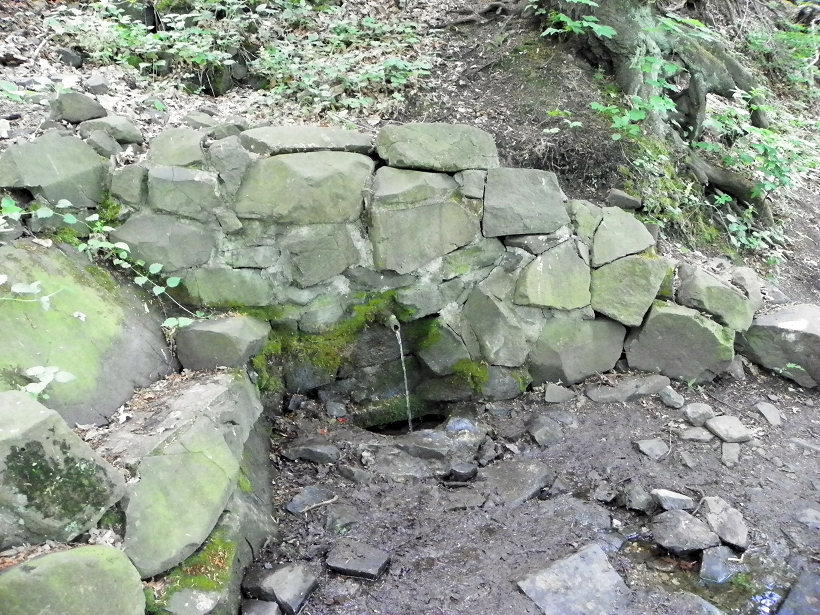 studánka U dřevěných zvířátek (5682) - květen 2012