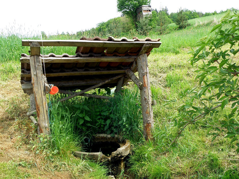 studánka Pyšelka (5683) - květen 2012