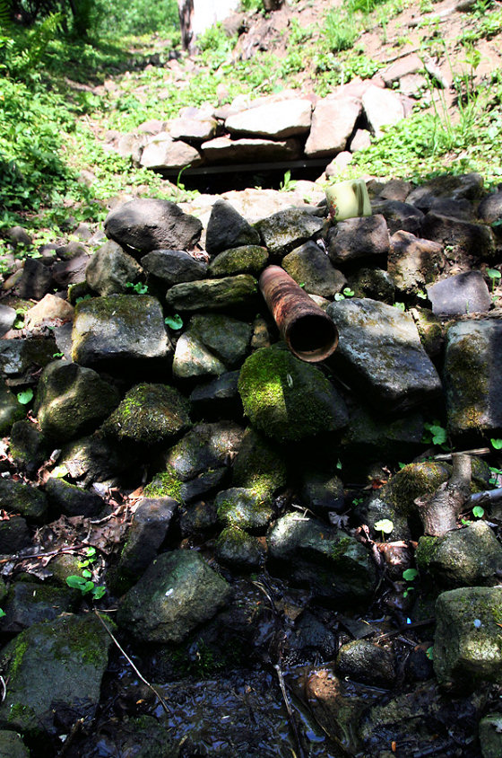 Studánka Holaschke (5688) - květen 2012
