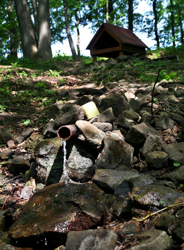 Kamenná studánka (5689) - květen 2012