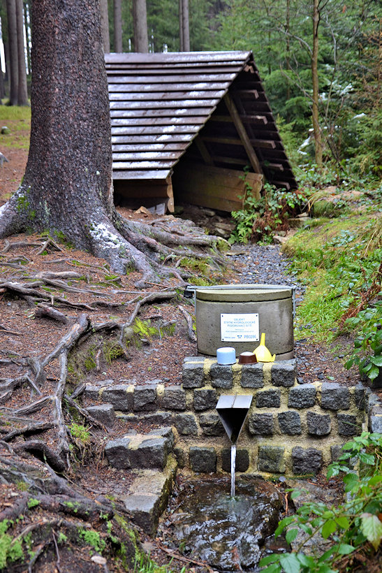 studánka Skautská  (5695) - prosinec 2020