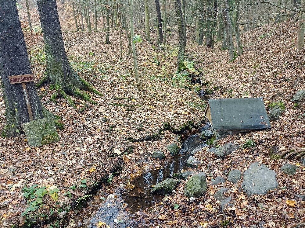 Formánkova studánka (5712) - listopad 2023