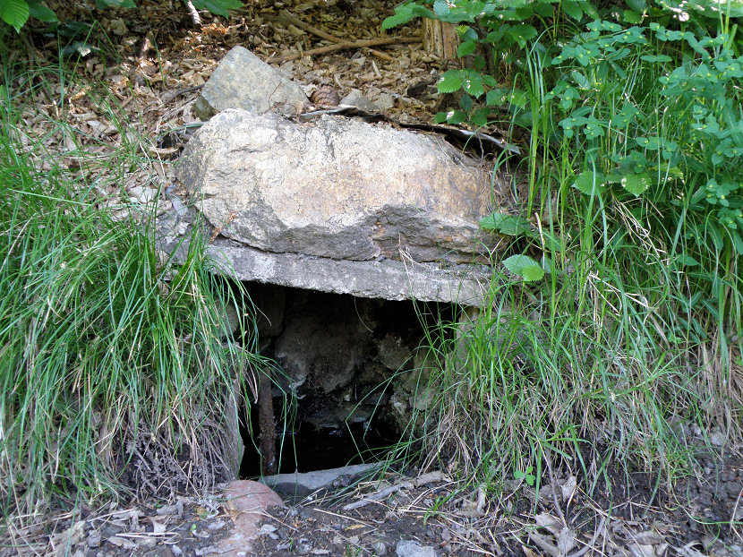 studánka Pod Drnkou (5719) - květen 2012