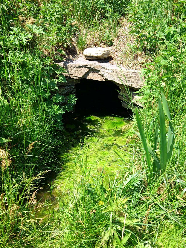 studánka bez jména (5721) - květen 2012