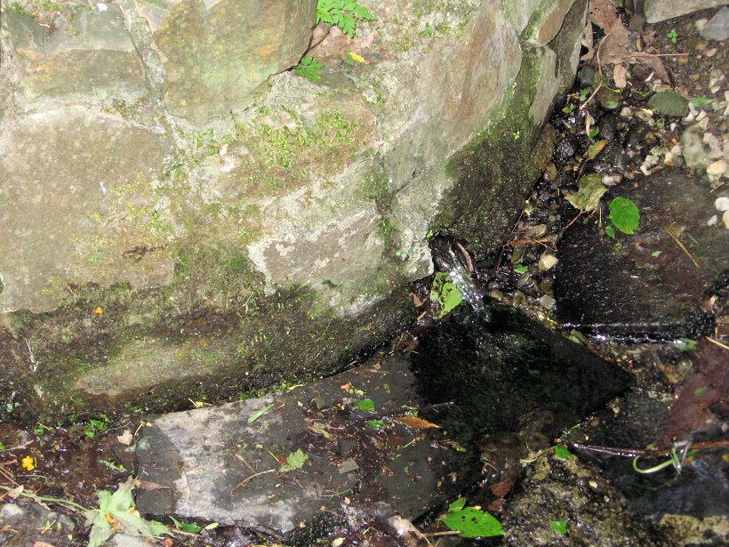 studánka Vrbová (5723) - květen 2012