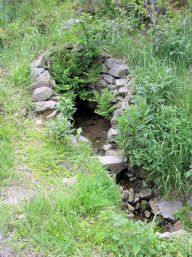 studánka u Bílého potoka (5748) - červen 2012