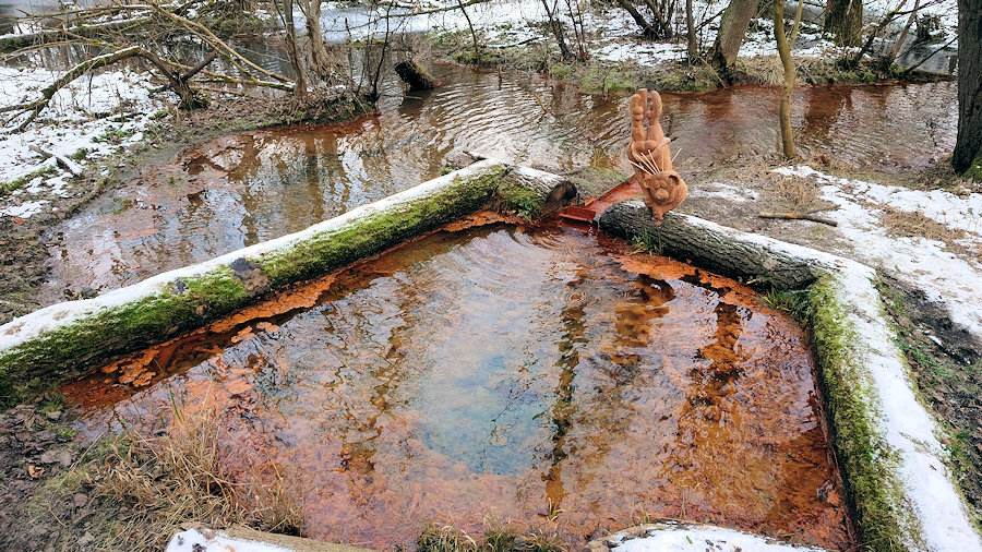 studánka bez jména (5752) - leden 2021