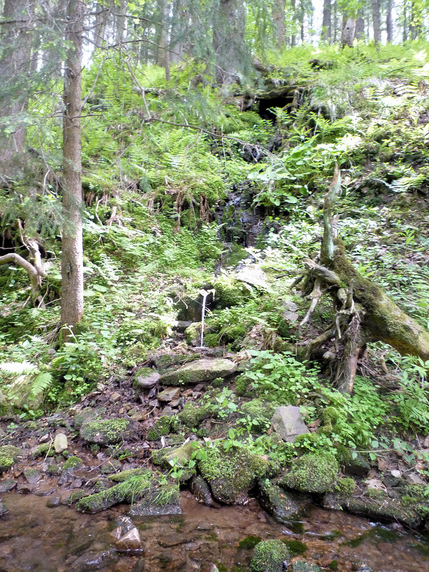 studánka Dřevěné údolí (5755) - červen 2012