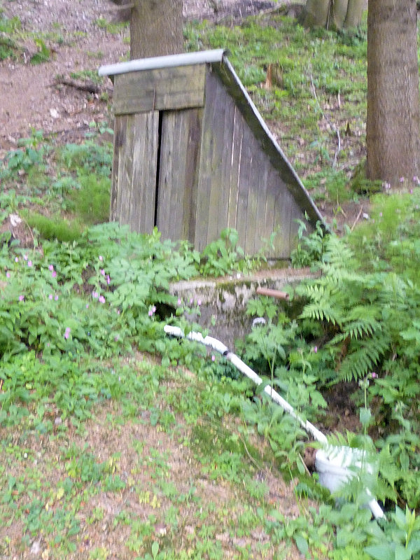 studánka V Holzlochu (5756) - červen 2012