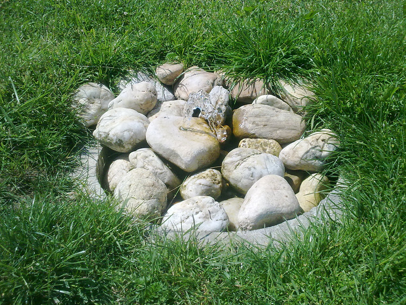 vyvěračka bez jména (5780) - červen 2012