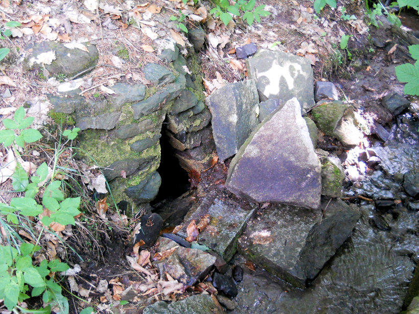 Studánka ve Zlaťáku (5785) - červen 2012