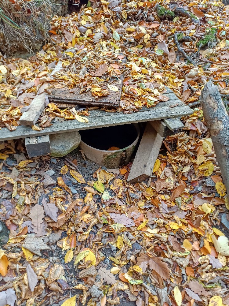 studánka Keltská (5804) - listopad 2023
