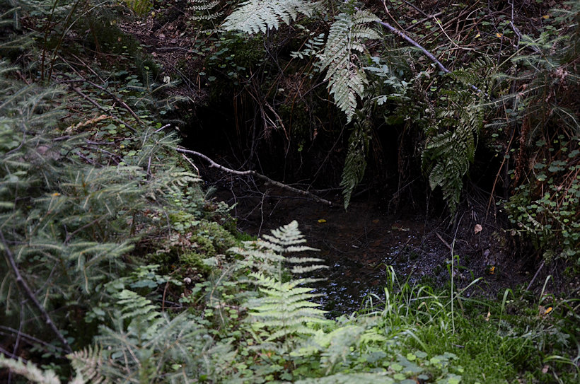 studánka U viaduktu (5805) - datum neznámé