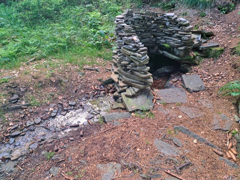 studánka Čertův mlýn (5816) - červen 2024