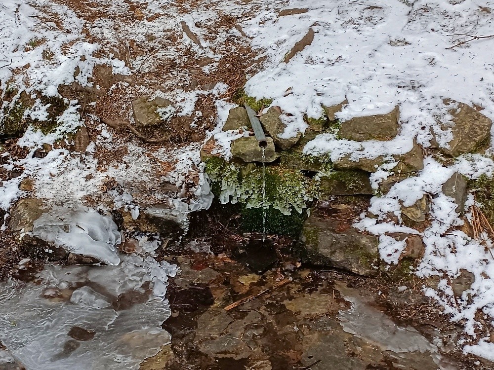 pramen Všenická studánka (5817) - datum neznámé
