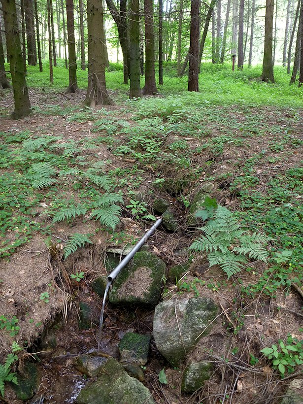 jiný vodní zdroj Pod sjezdovkou 1 (5826) - červenec 2012