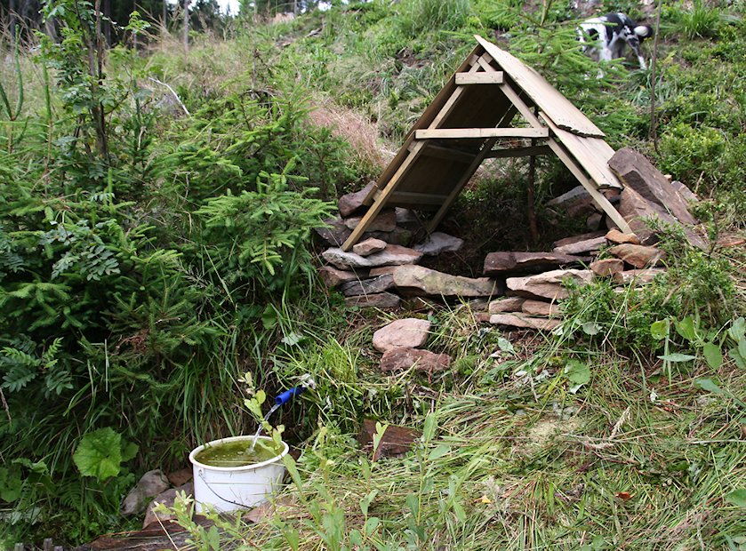 studánka Ořešonka (5842) - červen 2013