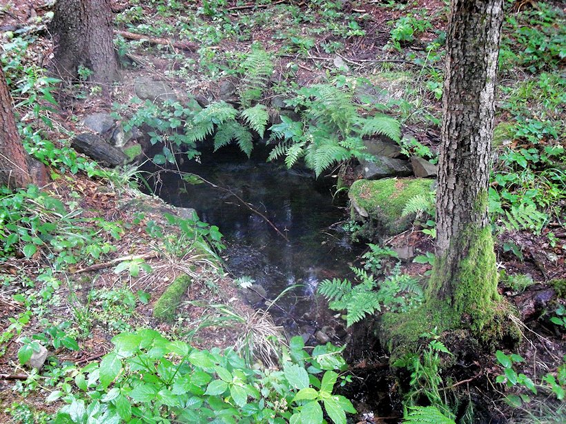 studánka Plavuňka (5850) - červenec 2012