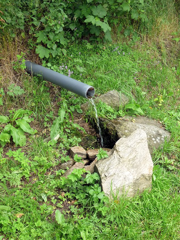 jiný vodní zdroj U sjezdovky (5852) - červenec 2012