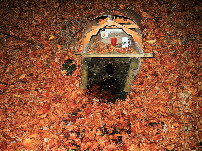 studánka U růrky (5862) - říjen 2019