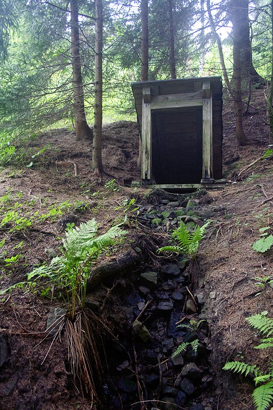 studánka bez jména (5884) - červenec 2012