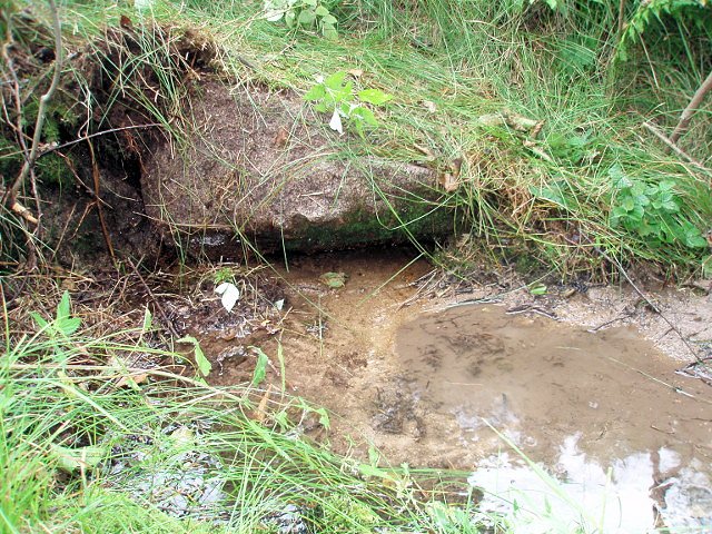 studánka Pod kamenem (5892) - srpen 2012
