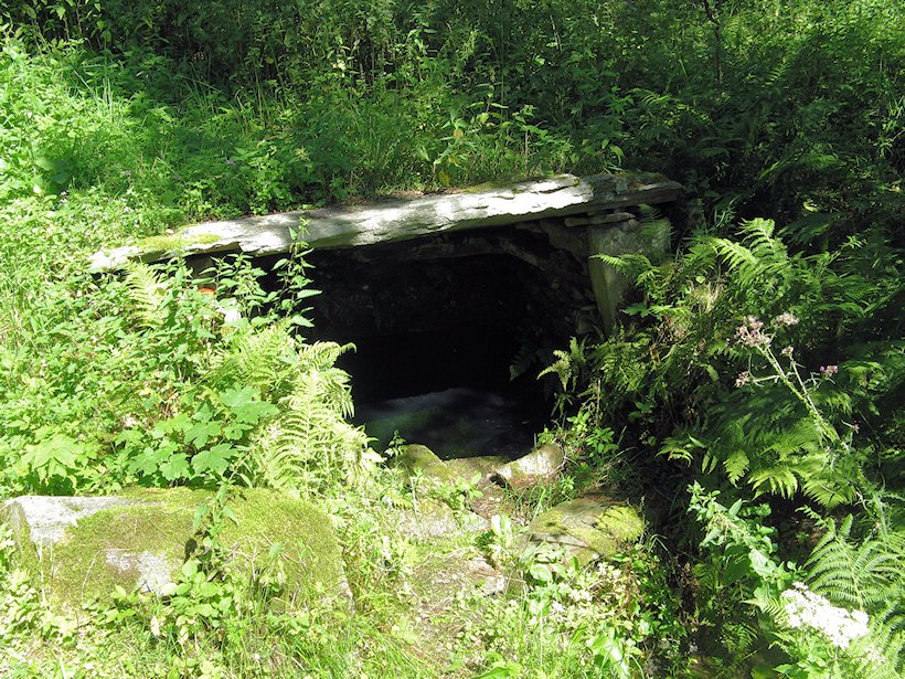 studánka pramen Zdíkovského potoka (5900) - srpen 2012