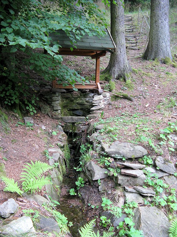 studánka Nad Budáčkem (5902) - srpen 2012