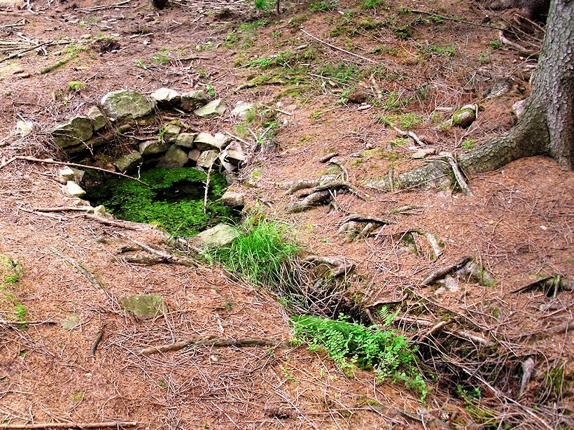 studánka bez jména (5909) - srpen 2012