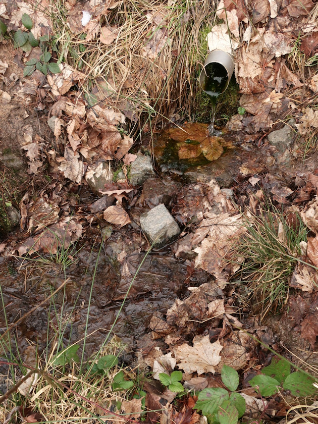 studánka Fléglova (5922) - leden 2023